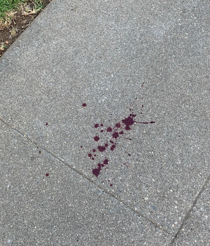 blood on the sidewalk